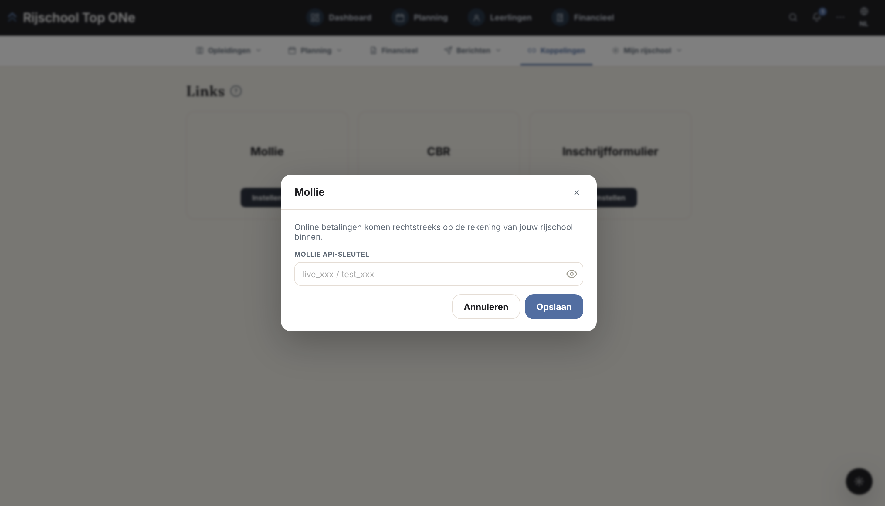 Online betalen bij een rijschool via iDEAL Wero en Mollie voor facturen, lessen, lespakketten en termijnbetalingen
